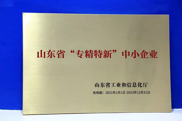 Specialized in special new small and medium-sized enterprises001 Specialized in special new small and medium-sized enterprises001