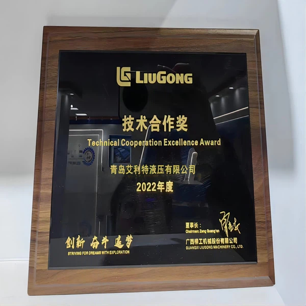 Technical Cooperation Excellence Award of LliuGong Technical Cooperation Excellence Award of LliuGong